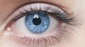 Hylo-Vision Gel Spar-Set 120x0,35ml; ausgezeichnete Augenpflege zur langanhaltenden Befeuchtung der Augen und zur Antifalten-Pflege der Augenlider