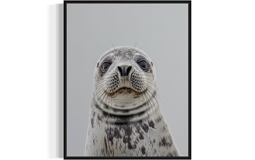 Seal Unframed Poster Art Print
