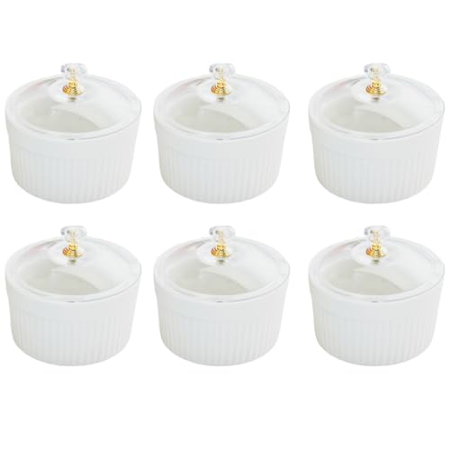 Ceramic Souffle Cup 8 oz Mini Bowl 6-Piece Set with Lid