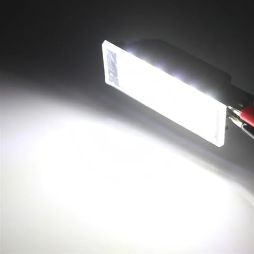 Evite multas con luces matrícula LED 6000K para Clio Laguna y Twingo 3