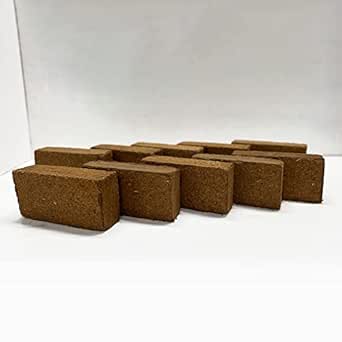 Amazon.com: Best Coco Peat - Premium Coconut Coir Pith 10 Brick Pack ...