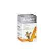 Argivit Focus LArjinin, Fosfotidilserin, Demir, Multivitamin ve Multimineral İçeren Tablet 30 Tablet
