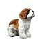 Saint Bernard Stand 10