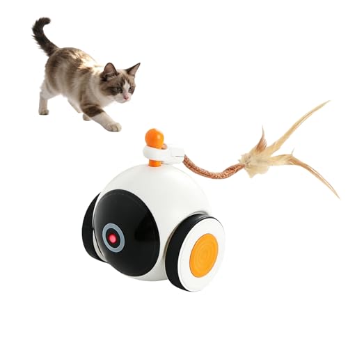 EGBULL Interactive Cat Ball USB Rechargeable Cat Toy Ball, Intelligent Indoor Cat Entertainment Toy Self-Moving Hunting Toy