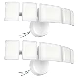 Olafus 100W Flood Light
