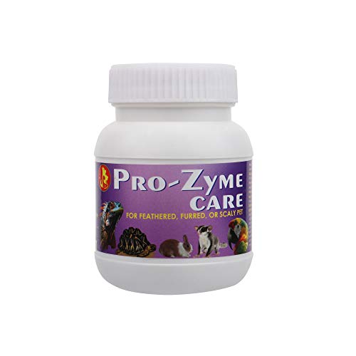 Image of Pet Care International (PCI) Pro-Zyme Care || Probiotics with Digestive Enzymes for Healthy Digestive System || Designed for Reptiles, Hamster, Marmoset, Iguana, Geko, Dwarf, Gerbil || 100grm