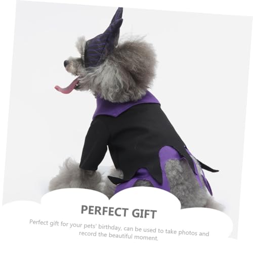Disfraz de Bruja Halloween para Perro Tamaño L miniatura 5