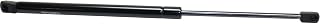 Trunk Lid Lift Support Driver or Passenger Side For 04-07 for Malibu Maxx LH or RH
