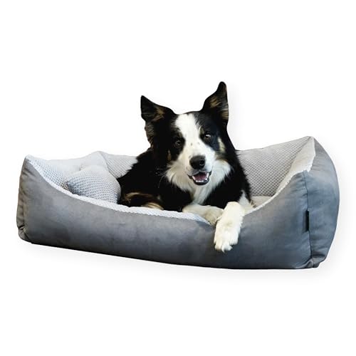 4L Textil Teo Cuccia per Gatti Cuscino Gatto Divano Gatto Letto per Cani di taglia piccola Cuccia per Cuccioli Cuscino per Cuccioli (60x40 cm, Grigio)