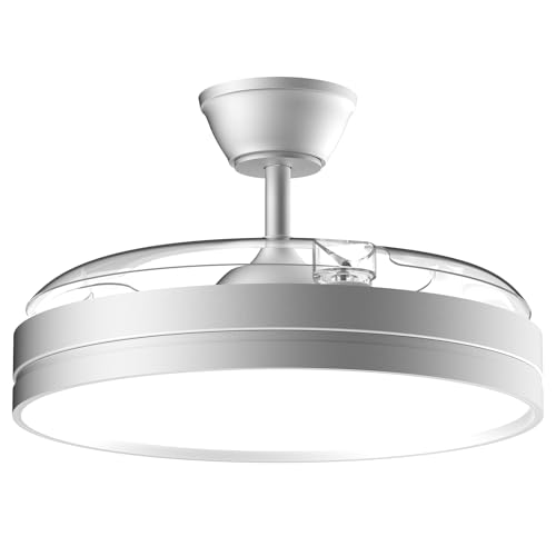 Airwit 106cm Silenzioso Ventilatore da Soffitto con Luce e Pale