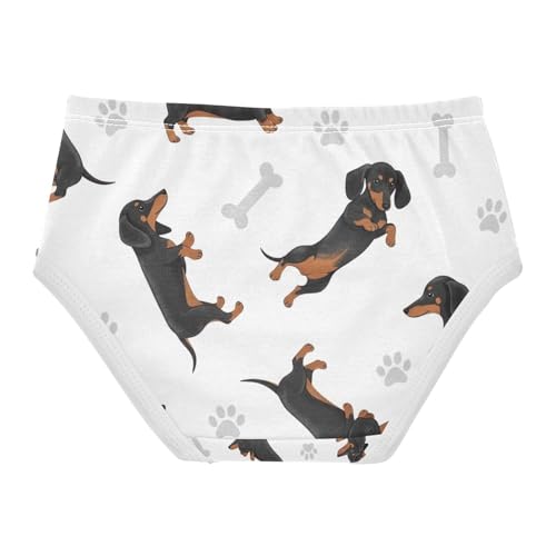 Cute Dachshund Dogs White Toddler Girl Underwear, Panties for Girls, 2T–8 Years2
