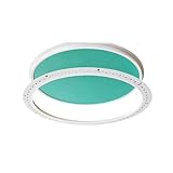 Trampilla para Techo de Pladur Pintable Trampilla de Acceso Al Techo Pladur Apto para Techos y Áticos(41.6 * 41.6cm)