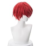 KAPVXRKI Sasori Assassination Classroom Karma Akabane Karuma Cosplay Wig Kuroko no Basuke Akashi Seijuro Heat Resistant Synthetic Wigs for Halloween Costume Party Role Play+Wig Cap