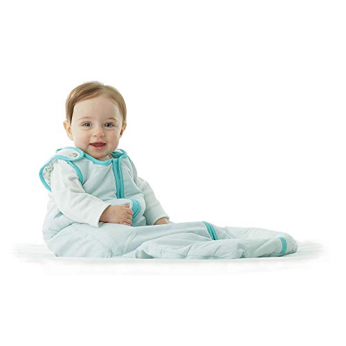 Baby Deedee Sleep Nest Sleeping Sack, Warm Baby Sleeping Bag fits Newborns and Infants,Small (0-6 Months)