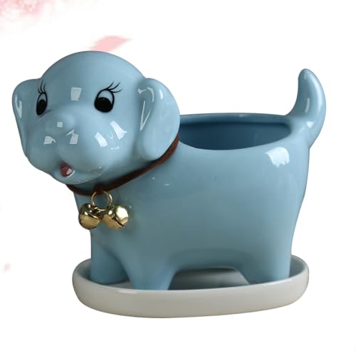 Pot de fleurs d'intérieur en céramique bleu pour plante grasse et bureau - 5