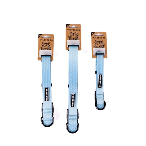 Image of Wilderdog Waterproof Dog Collar - Repels Water & Dirt - Small 11 inch-15 inch - Saltwater