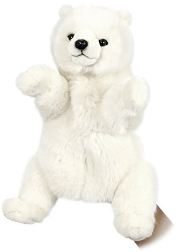 HANSA nT ʂ nhpybg 7158 zbLNO} 31 POLAR l` VN}  낭