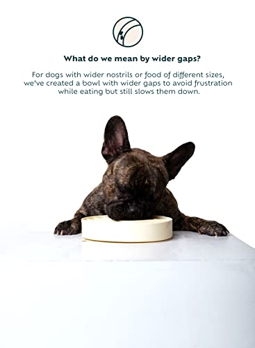 Burly’s Slow Feeder Dog Bowl + Spatula By The Burly Brand, Gulp-Free Design, Longer Mealtime, Health And Wellness, Silicone Dog Bowl For Medium To Large Breeds. Dog Bowls For Large Dogs. (Dark Green) #TOP3