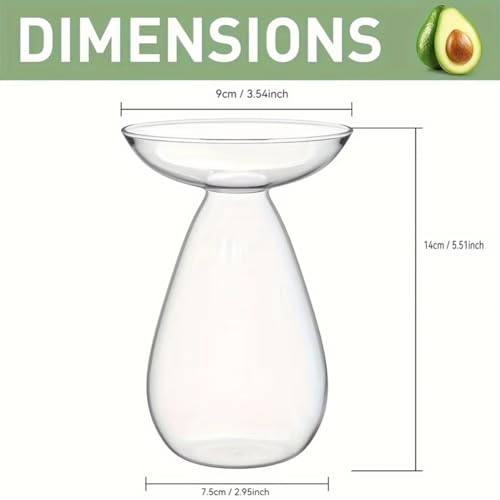 Jarrón de aguacate hidropónico de vidrio transparente para plantas 7