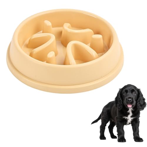 Lifetips CObVERbJ[EXpjG ybgpX[t[h{E Lp Hh~  Փx ~ 􂢂₷ NǗ 킢fUC iA^Cv N[CG[j