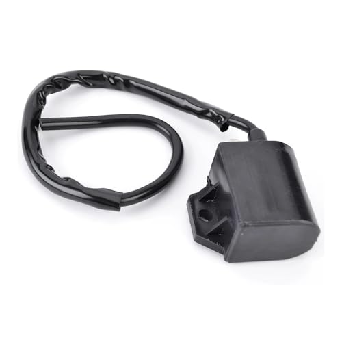 Bobine d'allumage haute performance pour moto AN125 AN150 qualité 33410-20E01