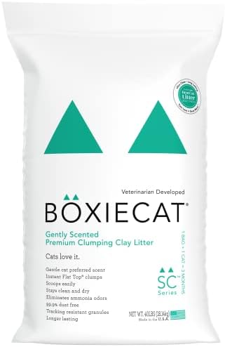 Boxiecat Gently Scented Premium Clumping Cat Litter - Clay Formula - Ultra Clean Litter Box, Longer Lasting Odor Control, Hard Clumping Litter, 99.9% Dust Free, Green, 40 lb