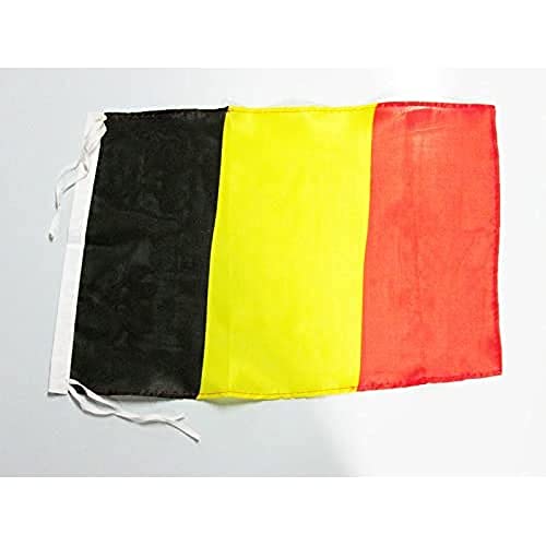 AZ FLAG - Flagge Belgien - 45x30 cm Freiner Polyester - Belgische Fahne 30 x 45 Cm - Flaggen