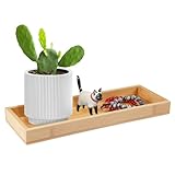 Photo Gallery vassoio da bagno in bambù, 29 x 11 x 3 cm vassoi in bambù naturale, vassoio rettangolare piatto da colazione, naturale mini vassoio bamboo, vassoios piccolo bambu per bagno, soggiorno, cucina, ufficio Photo Gallery vassoio da bagno in bambù, 29 x 11 x 3 cm vassoi in bambù naturale, vassoio rettangolare piatto da colazione, naturale mini vassoio bamboo, vassoios piccolo bambu per bagno, soggiorno, cucina, ufficio