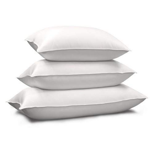 Blue Ridge Home Fashions 214111 Pillow, Standard