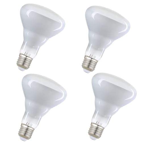 MOAKRIN BR30 65W Flood Incandescent Light Bulbs E26 Base 65 Watt Reflector Indoor Flood Light Bulb (4-Pack)