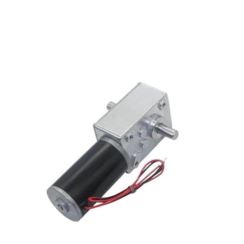Moteur à engrenage à vis sans fin à double arbre en acier traité 12V 5840-31ZY