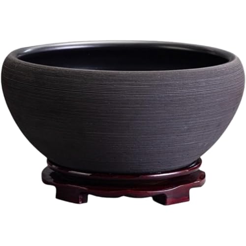 Diggly   @ _J Z~bN kAؔ T   X̗t[^XRCOXO[J^cK[f^Aؔ x_rO ACfAu (sN`[J[-1) [sAi]