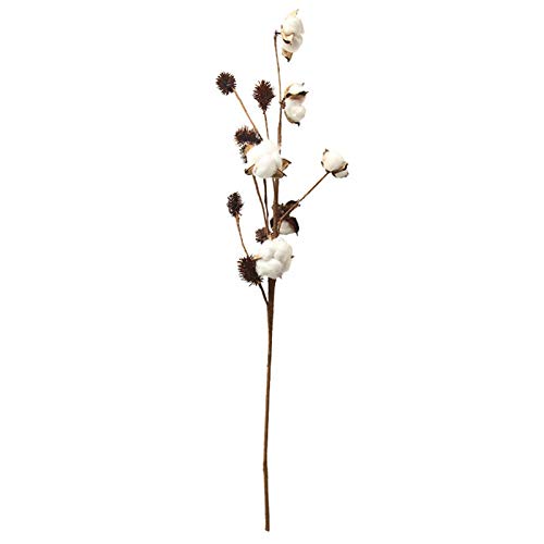 MEYANG algodón con 6 flores, 1/5 piezas ramas algodón natural, flores secas para decoración jarrones, bodas, fiestas, cafeterías, habitaciones.