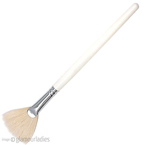 HIVE OF BEAUTY Professional Face Fan Masking Brush Even Application Beauty Tool
