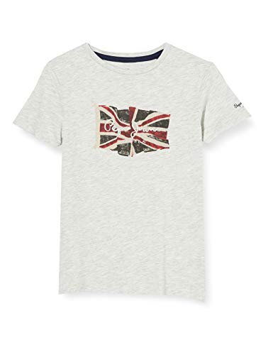 Pepe Jeans Flag Logo S/S, Camiseta Hombre, 913light Grey Marl, 18