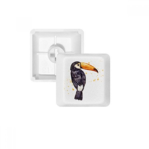 Clavier Mécanique Blanc PBT Ramphastos Toco sans Marquage OEM R3