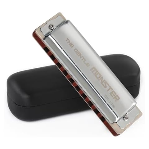 JDR Blues Harmonica Key of A Cover