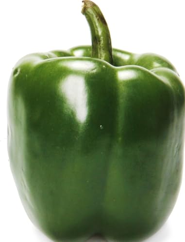 Organic Green Bell Pepper