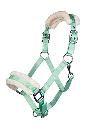 Posten Bischofshofen Halfter & Stricke HellgrĂĽn Pony