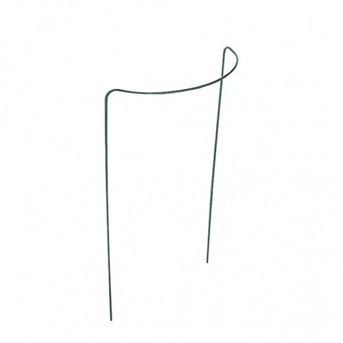 Preisvergleich Produktbild Gravidus praktischer Staudenhalter 35 x 100 cm