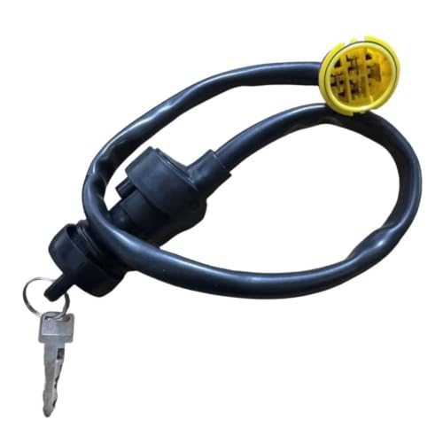 Llave de encendido Jianshe 250 ATV interruptor de 4 pines SSM5-51000-0