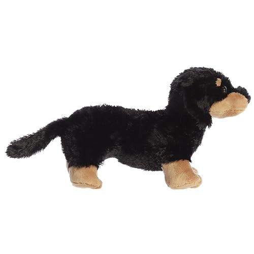 Juguetes Para Perro, Toy Imagen adicional