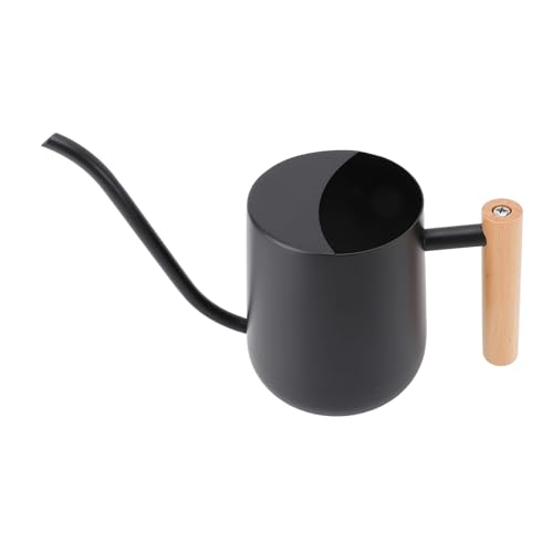 Riuulity Regadera de Acero Inoxidable de Primera Calidad, Mano de Obra Fina, Pico Largo, Capacidad de 1L, Color Negro para Decoración del Hogar