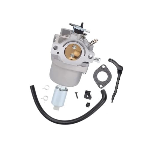 Carburateur 799727 résout problème démarrage moteur tondeuse 310777