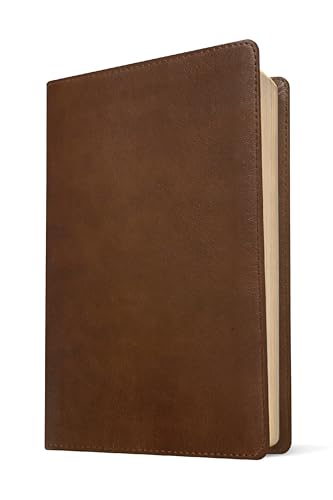 NLT Thinline Reference Bible, Filament-Enabled Edition (LeatherLike, Rustic Brown, Red Letter)