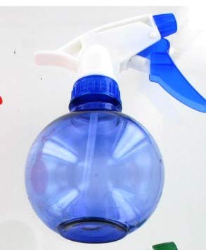 DWT-Germany 100410 - Pulverizador a presión para plantas (0,3 L)