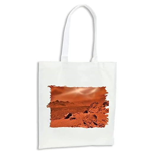 Pack con 4 Bolsas Paisaje Marciano Marte Extraterrestre Alien Compra Cocina Adorno.