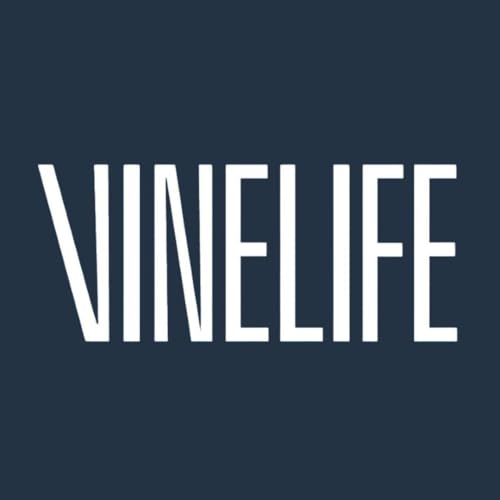 Vinelife Church Manchester Podcast cover art