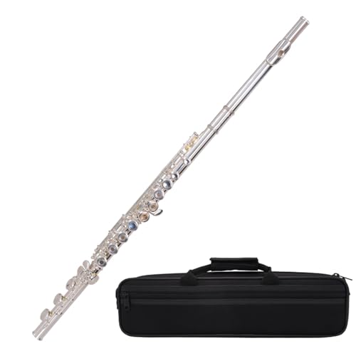 �t���[�g�y�� �t���[�g C �L�[�����⃁�b�L�t���[�g 16 �� 17 ���I�[�v���ƃN���[�Y�h��(17 holes)