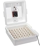 Little Giant® Digital Circulated Air Incubator with Automatic Turner | 41 Egg Capacity | Chick Egg Hatching Incubator with Fan and Egg Turner | Made in USA